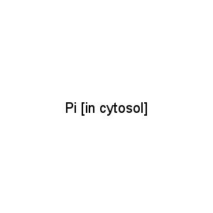 Pi [in cytosol]